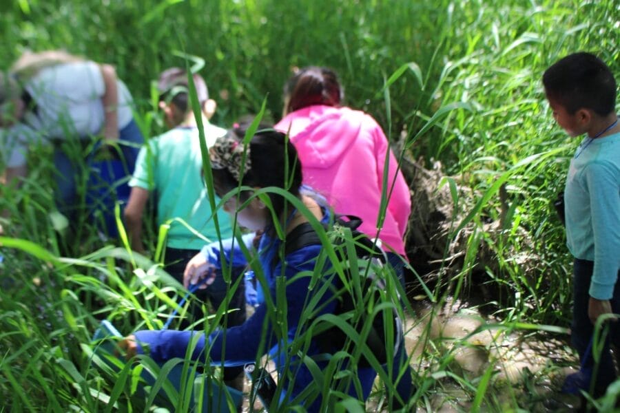 Youth in the Kulshan Creek Neighborhood program search for frogs in the wetlands of Utopia Conservation Area.