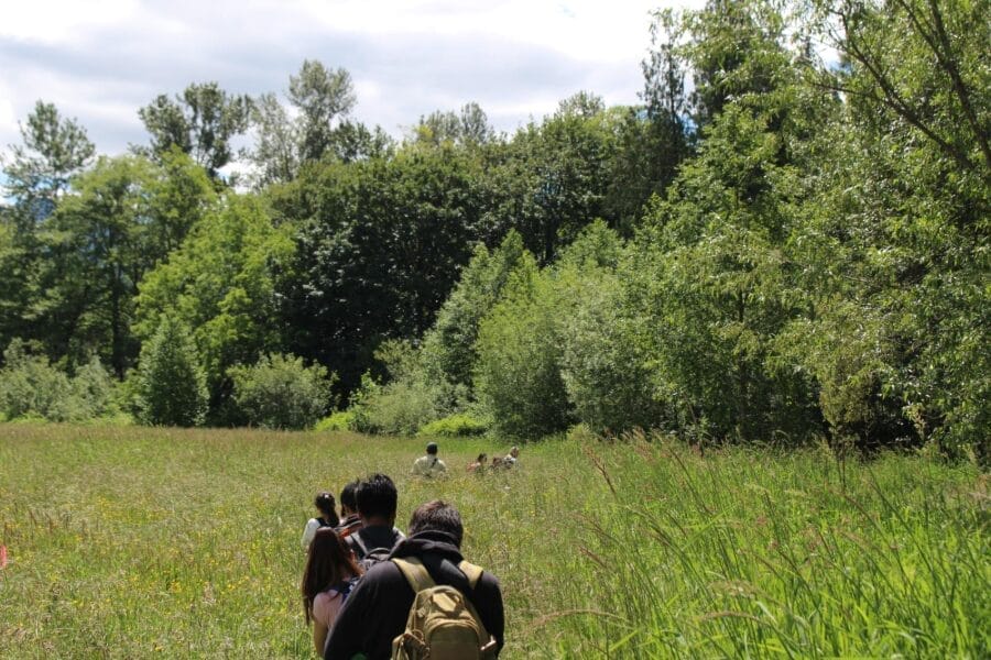 Kulshan Creek Neighborhood program wayfinding through tall grasses. 